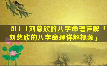 🍀 刘慈欣的八字命理详解「刘慈欣的八字命理详解视频」